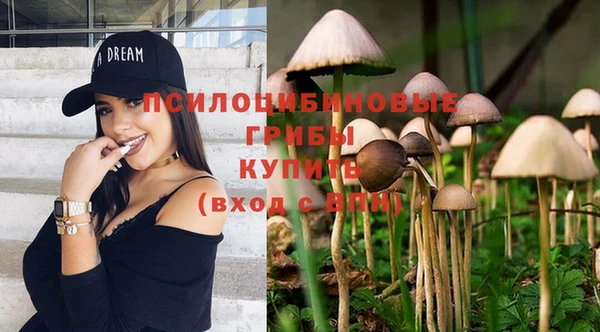 сатива Киренск