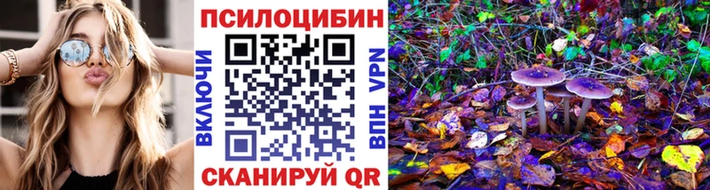 Галлюциногенные грибы MAGIC MUSHROOMS  дарнет шоп  Кудрово 